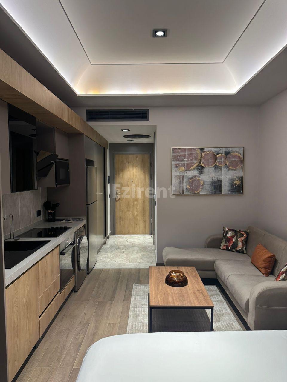 Fully furnished Studio Apartment  at Diamond in the City - 3