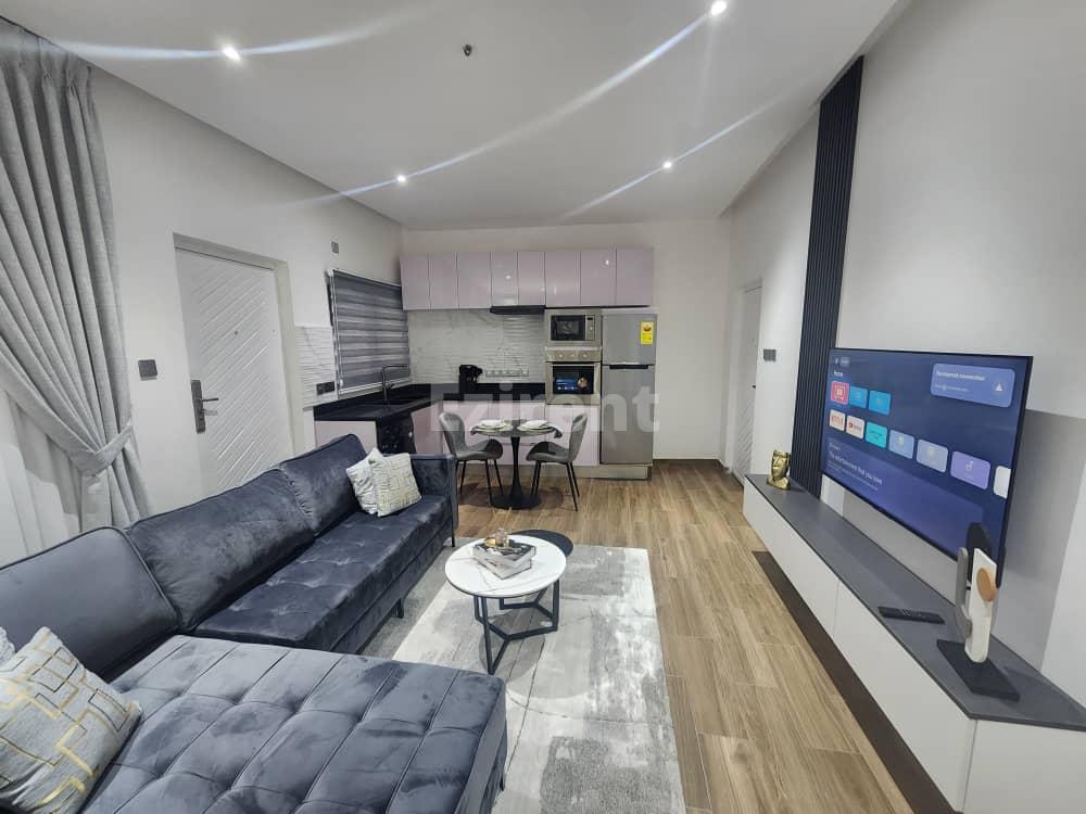 Furnished 1-Bedroom Studio Apartment - 1