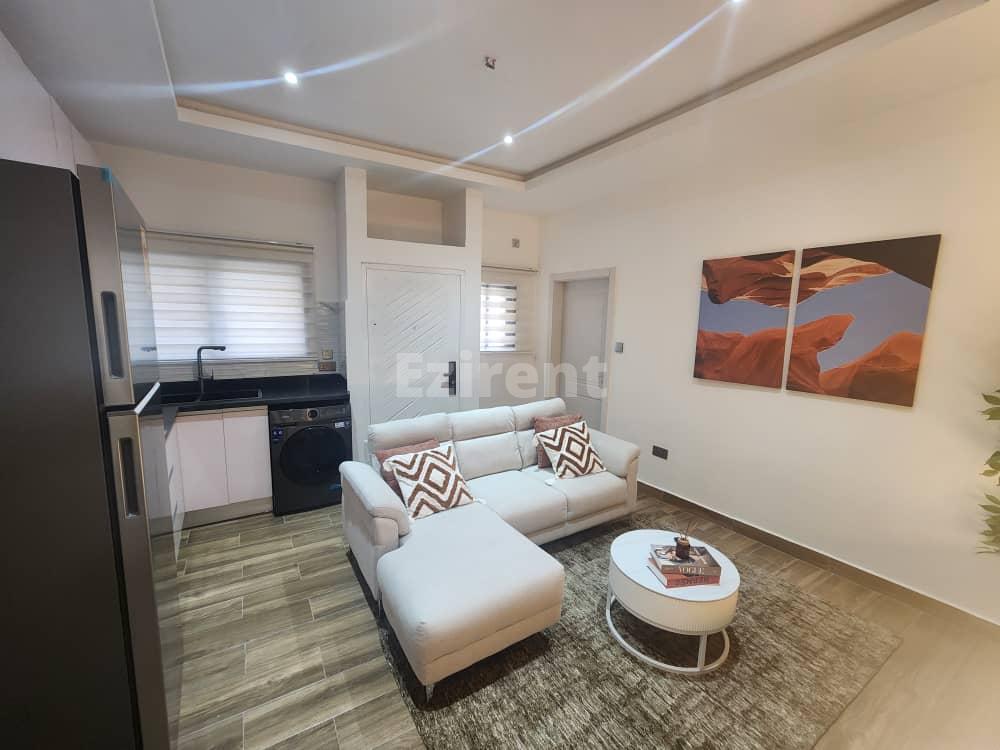 Furnished 1-Bedroom Studio Apartment - 1